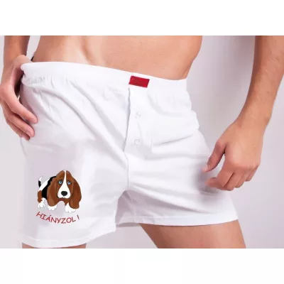 ILLUSION BOXERALSÓ 
